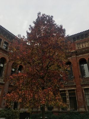 2018-11-06 10.29.03.jpg