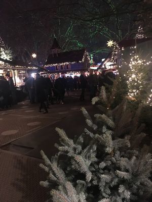 2018-11-24 17.17.52.jpg