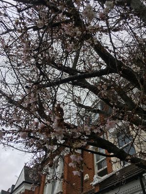 2018-12-05 11.37.31.jpg