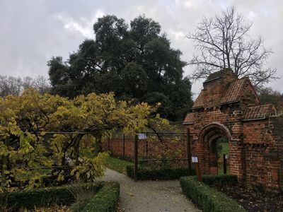 2018-12-05 11.51.03.jpg