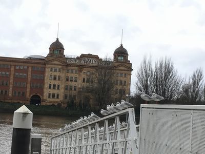 2018-12-05 12.22.30.jpg
