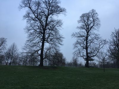 2019-01-25 10.20.56.jpg