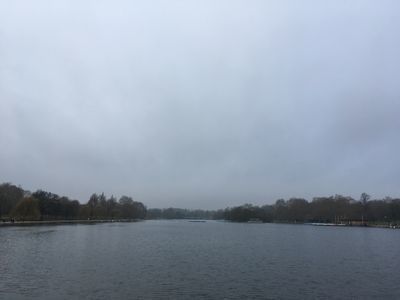 2019-01-25 10.45.12.jpg