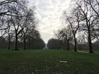 2019-01-25 11.57.48.jpg
