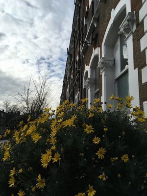 2019-01-25 12.49.52.jpg
