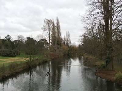2019-01-26 13.45.17.jpg