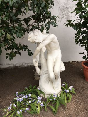 2019-01-26 13.55.29.jpg