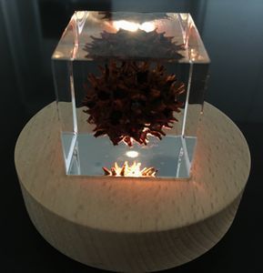 2019-02-04 15.21.28.jpg