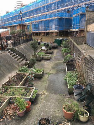 2019-02-11 12.41.39.jpg