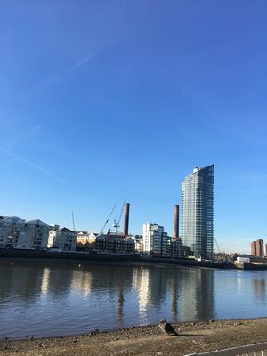 2019-02-14 14.42.27.jpg