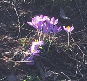 2019-02-15 13.49.17.jpg