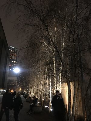 2019-02-16 18.07.20.jpg