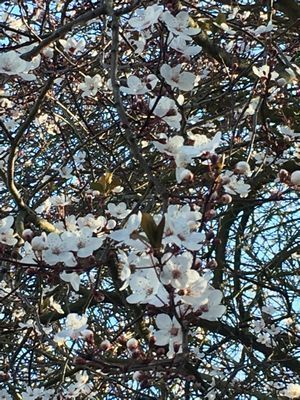 2019-02-26 09.40.14.jpg