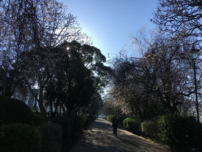 2019-02-26 09.40.22.jpg