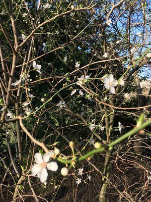 2019-02-26 09.41.19.jpg