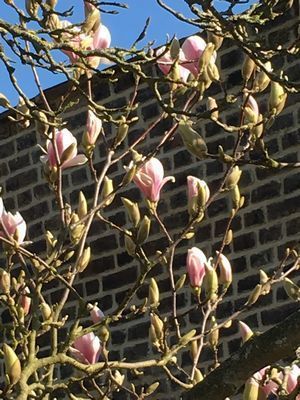 2019-02-26 12.46.47.jpg