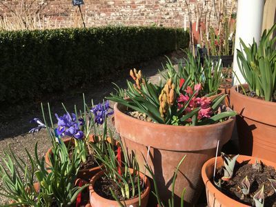 2019-02-26 12.47.20.jpg