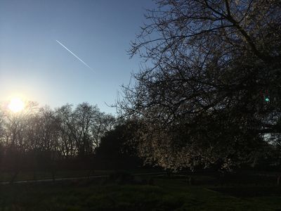 2019-02-26 16.08.37.jpg