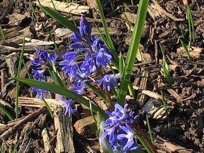 2019-02-27 10.41.53.jpg
