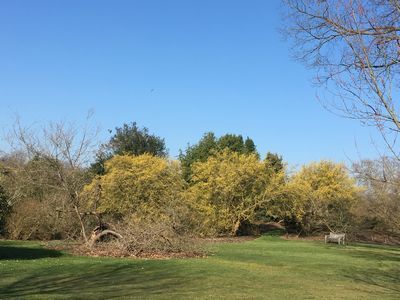 2019-02-27 10.43.20.jpg