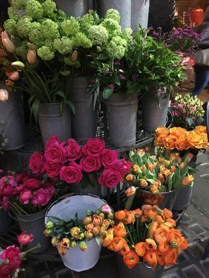 2019-03-01 17.24.56.jpg