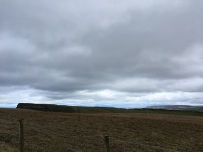 2019-03-05 12.53.57.jpg
