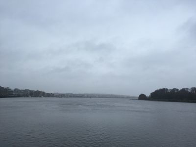 2019-03-08 14.53.16.jpg