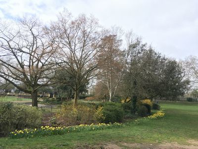 2019-03-19 09.49.06.jpg