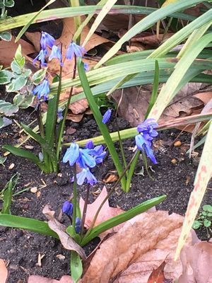 2019-03-19 10.06.41.jpg