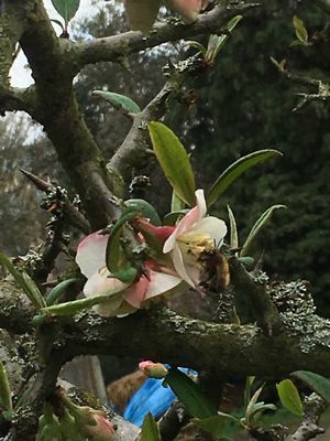 2019-03-19 12.47.45.jpg