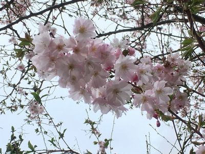 2019-03-19 13.20.24.jpg
