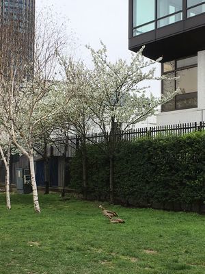 2019-03-20 11.30.35.jpg