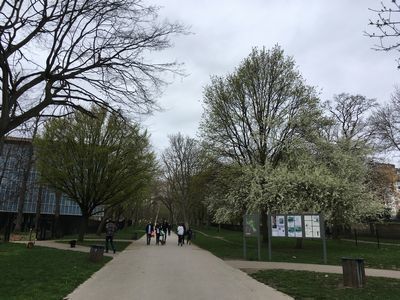 2019-03-23 12.12.34.jpg