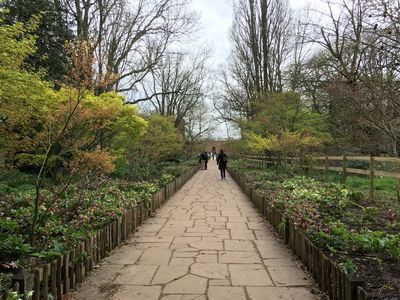 2019-03-23 12.57.57.jpg
