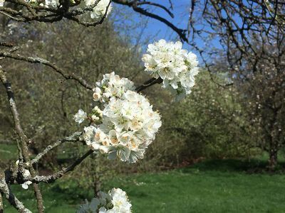 2019-03-24 12.06.59.jpg
