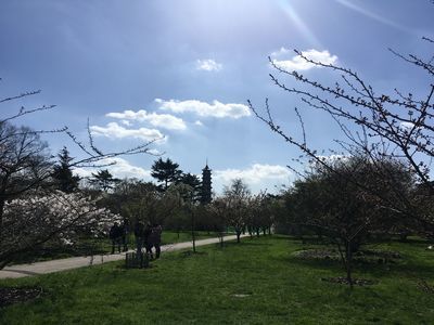 2019-03-24 12.16.08.jpg