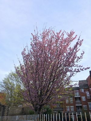 2019-03-26 09.32.11.jpg