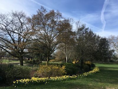 2019-03-26 09.44.16.jpg