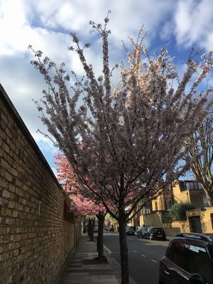 2019-03-26 16.26.53.jpg