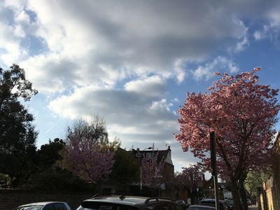 2019-03-26 16.29.45.jpg