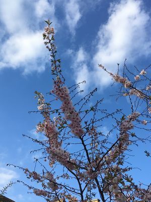 2019-03-26 16.35.38.jpg
