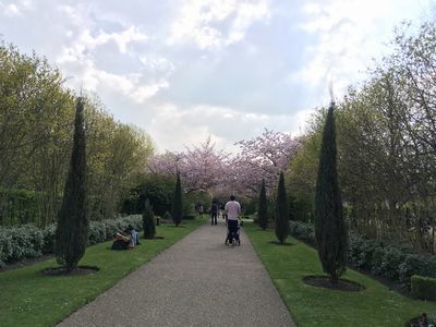2019-03-30 12.20.13.jpg