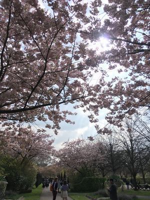 2019-03-30 12.21.05.jpg