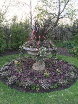 2019-03-30 16.40.24.jpg