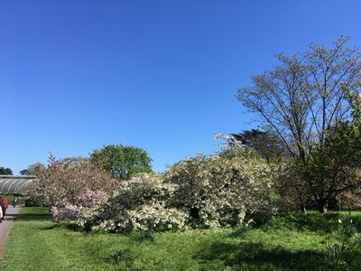 2019-04-10 12.07.27.jpg