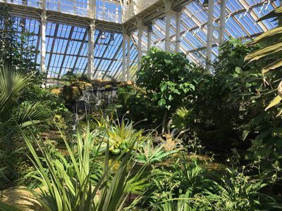 2019-04-10 13.37.25.jpg