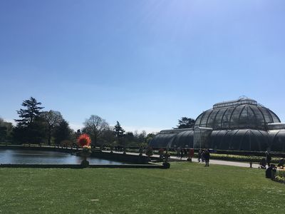 2019-04-10 14.16.25.jpg