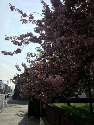 2019-04-18 09.38.35.jpg