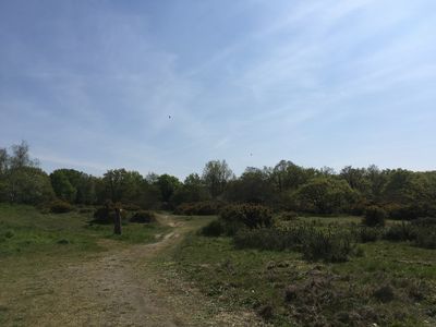 2019-04-19 13.24.19.jpg