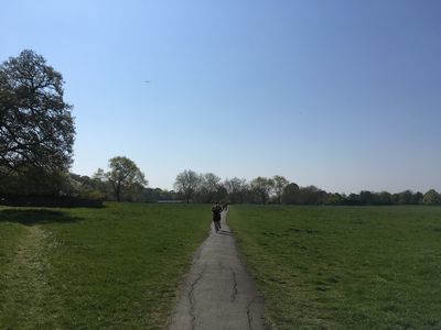 2019-04-20 11.12.24.jpg
